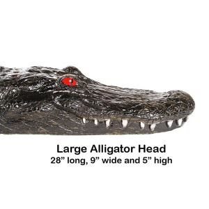 63_0_additional image.jpg image